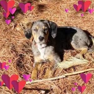 Meet your Posher, Phil